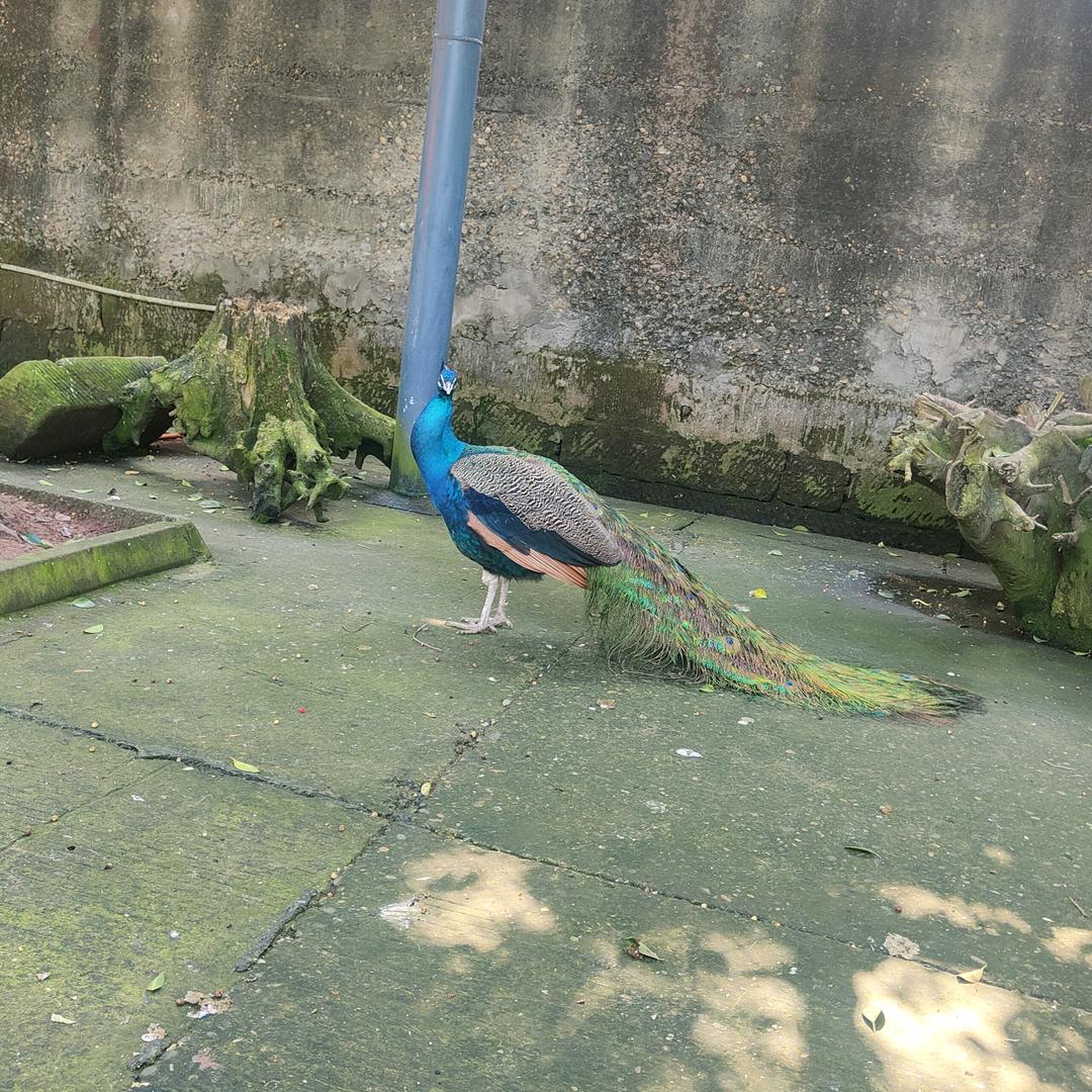 怕什么