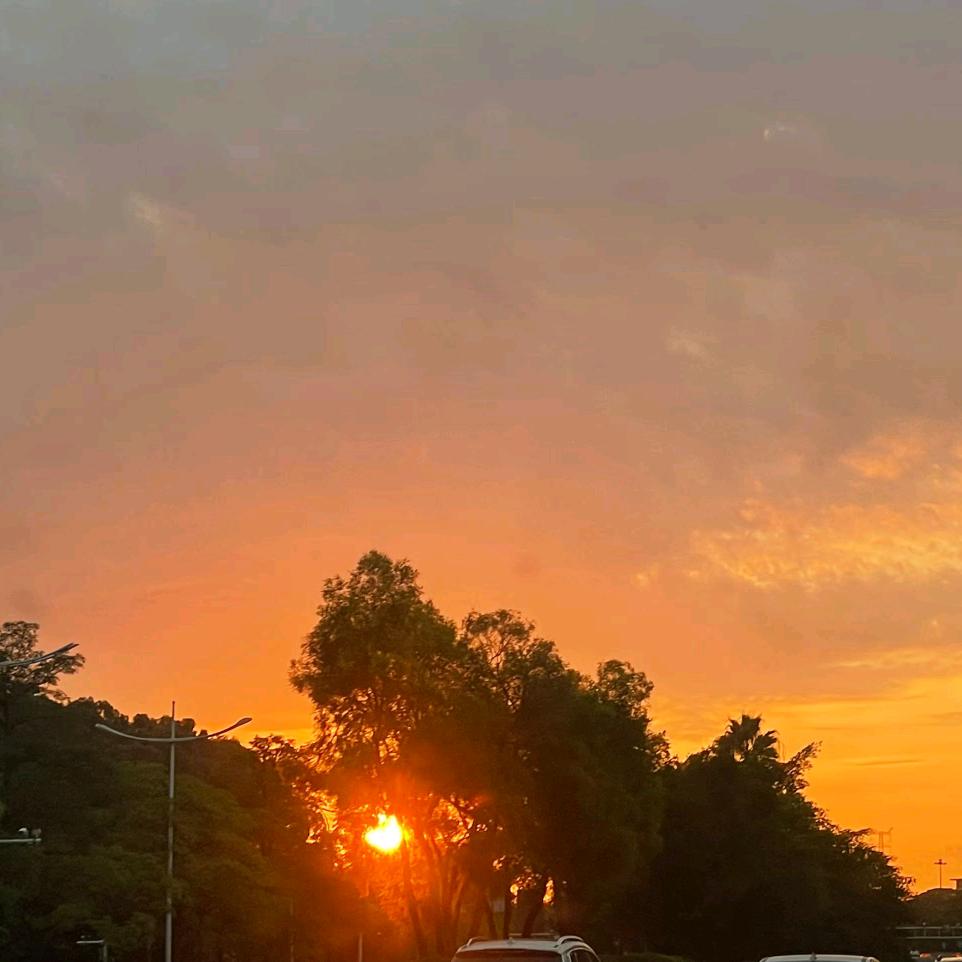 来霖✨