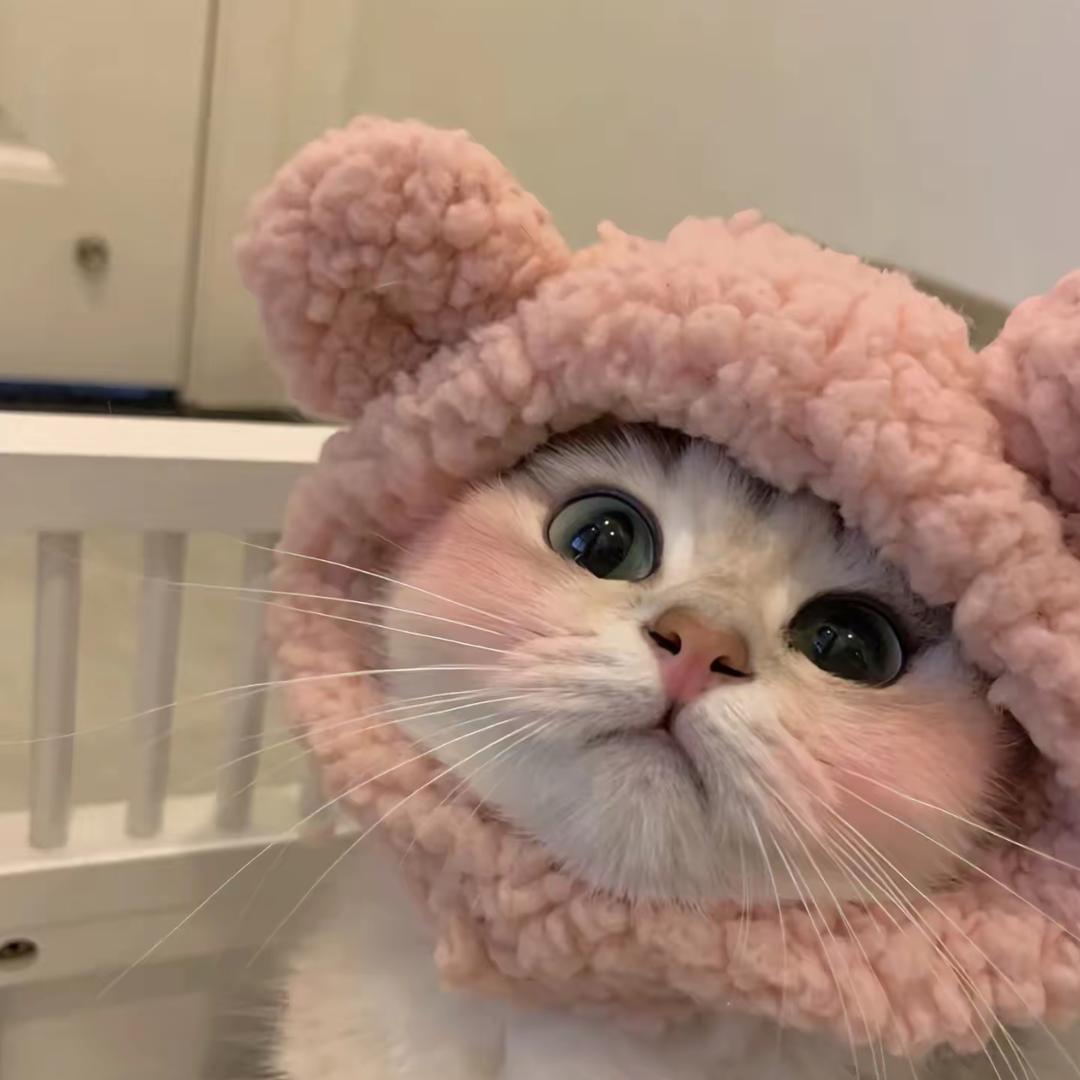 焕焕一直很开心