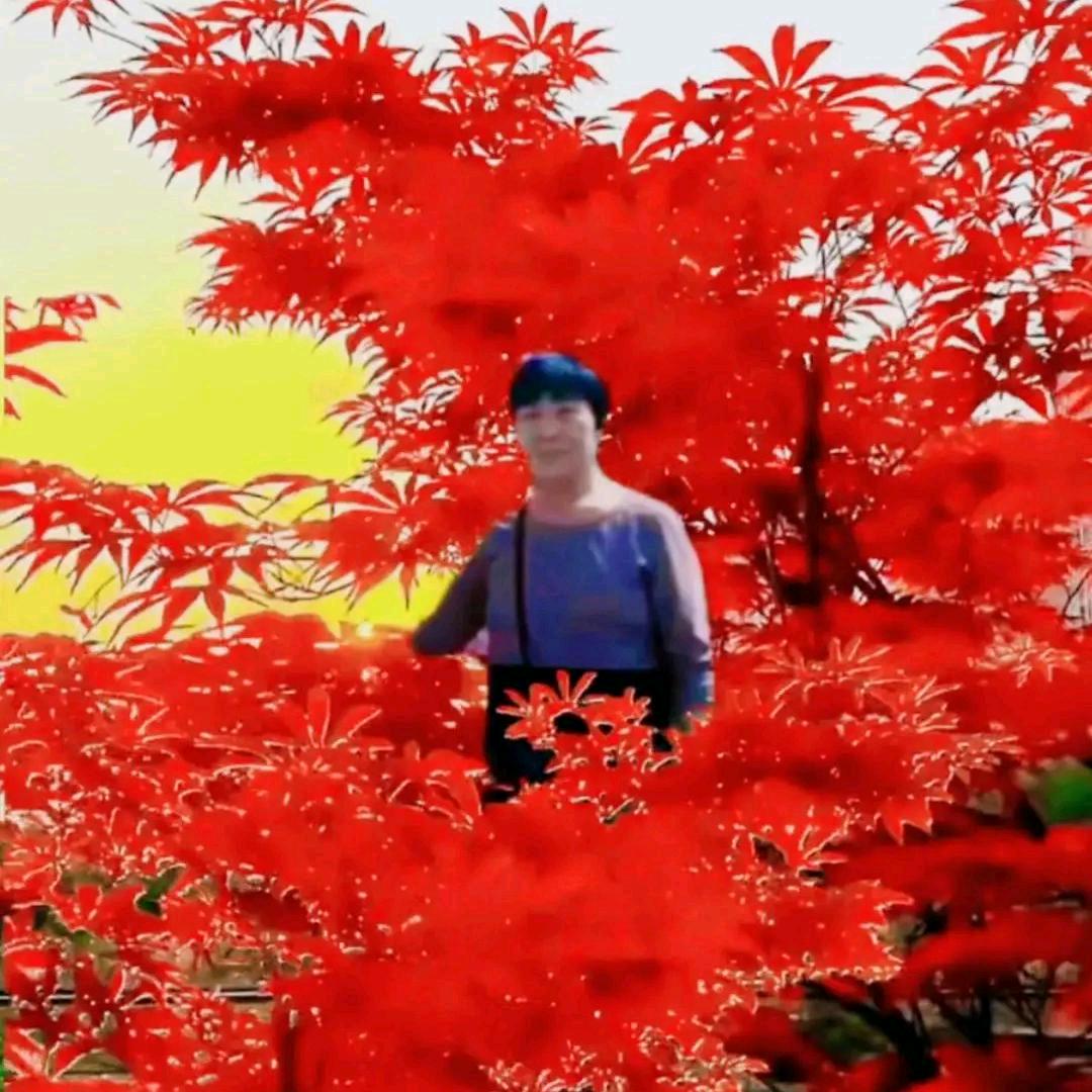 开心快乐