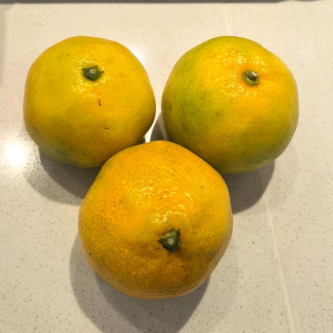 七八个星天外🌌