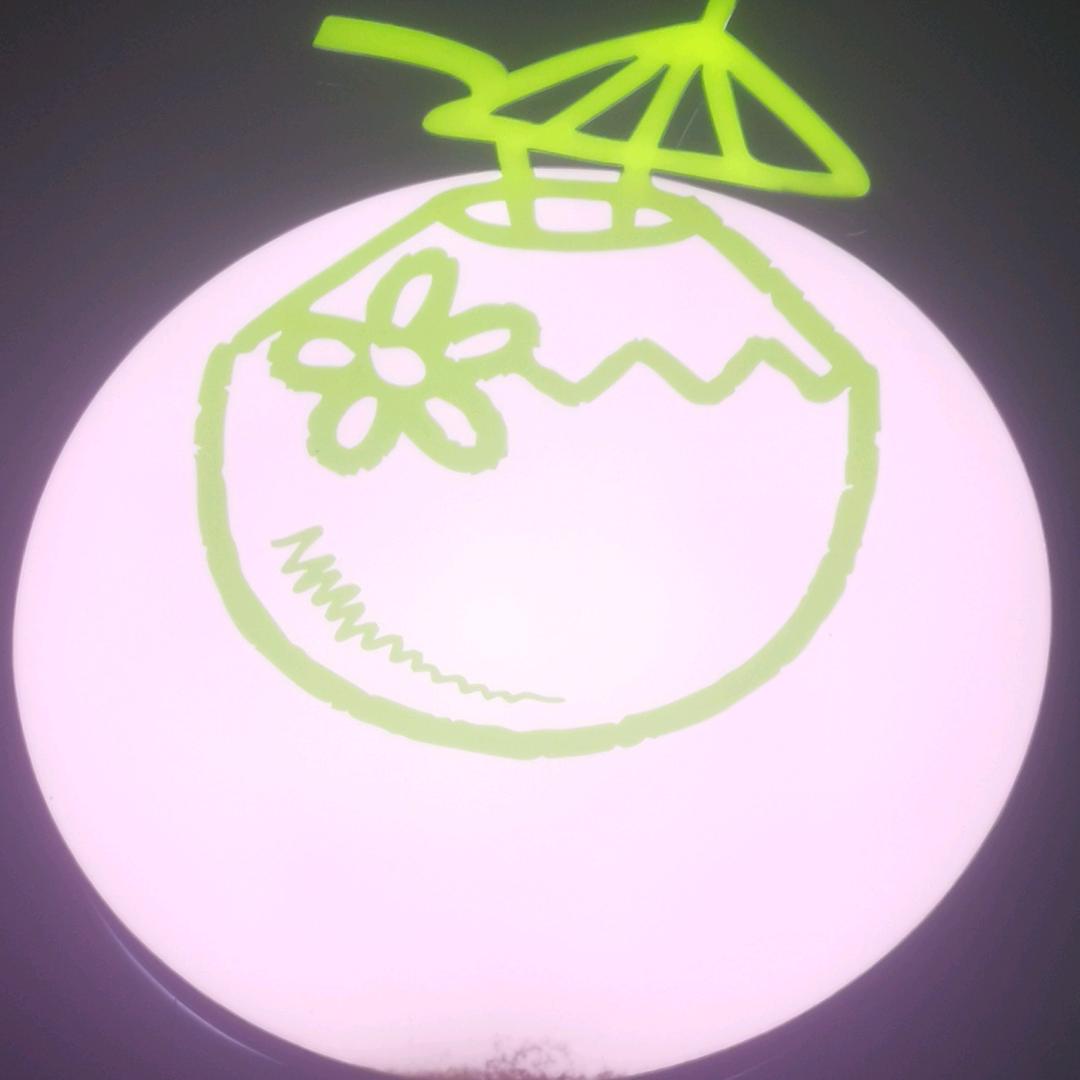 蘇苝芢