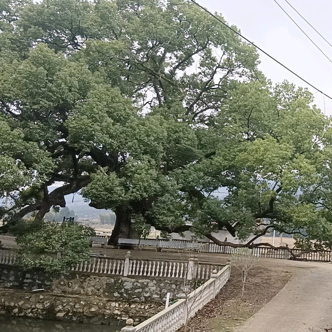 随遇而安💞
