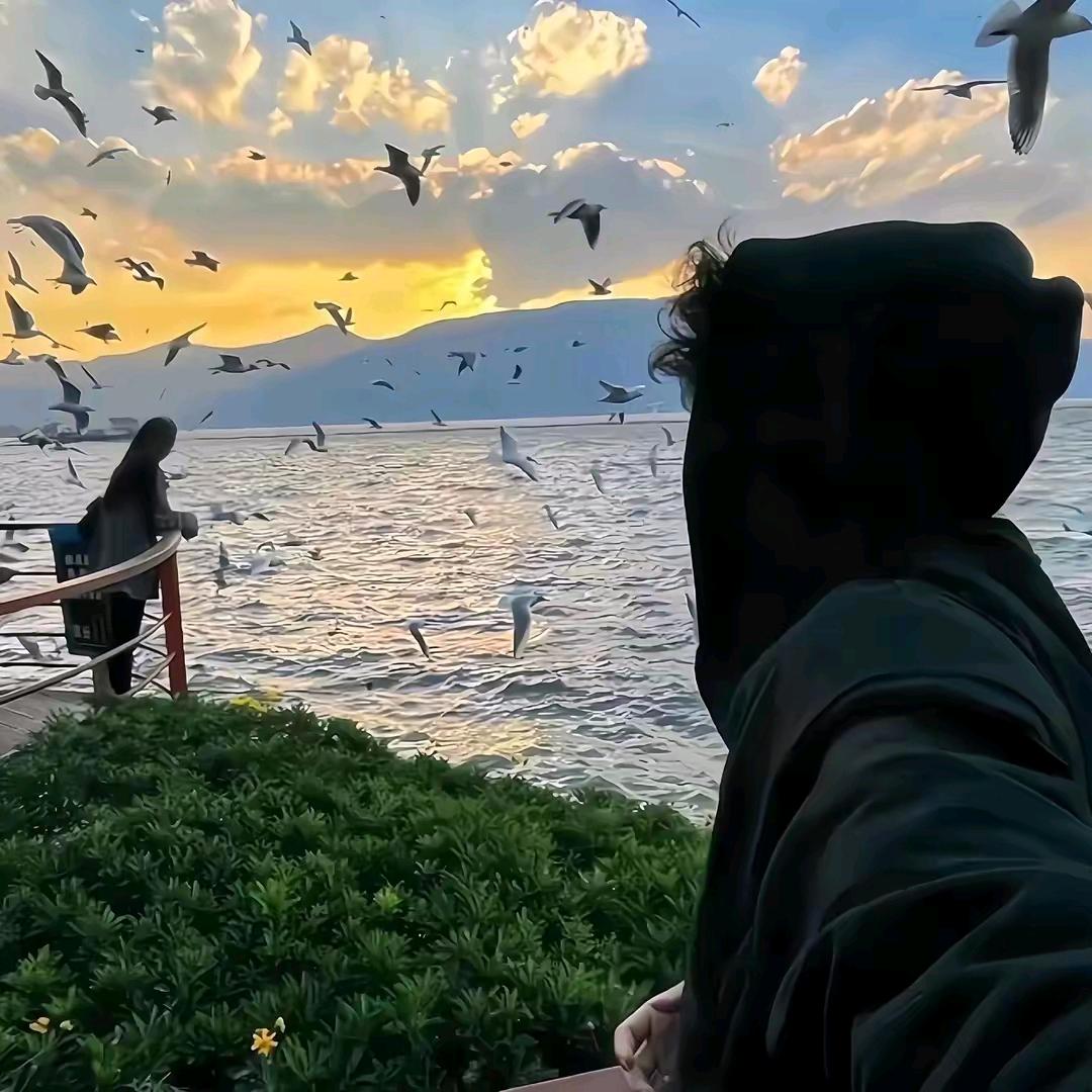 满目山河空念远