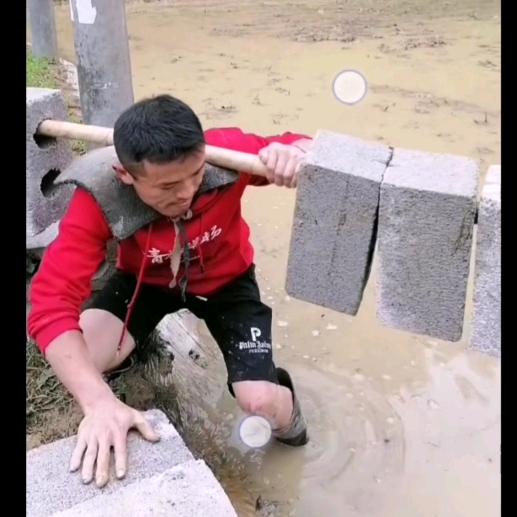 6号哥