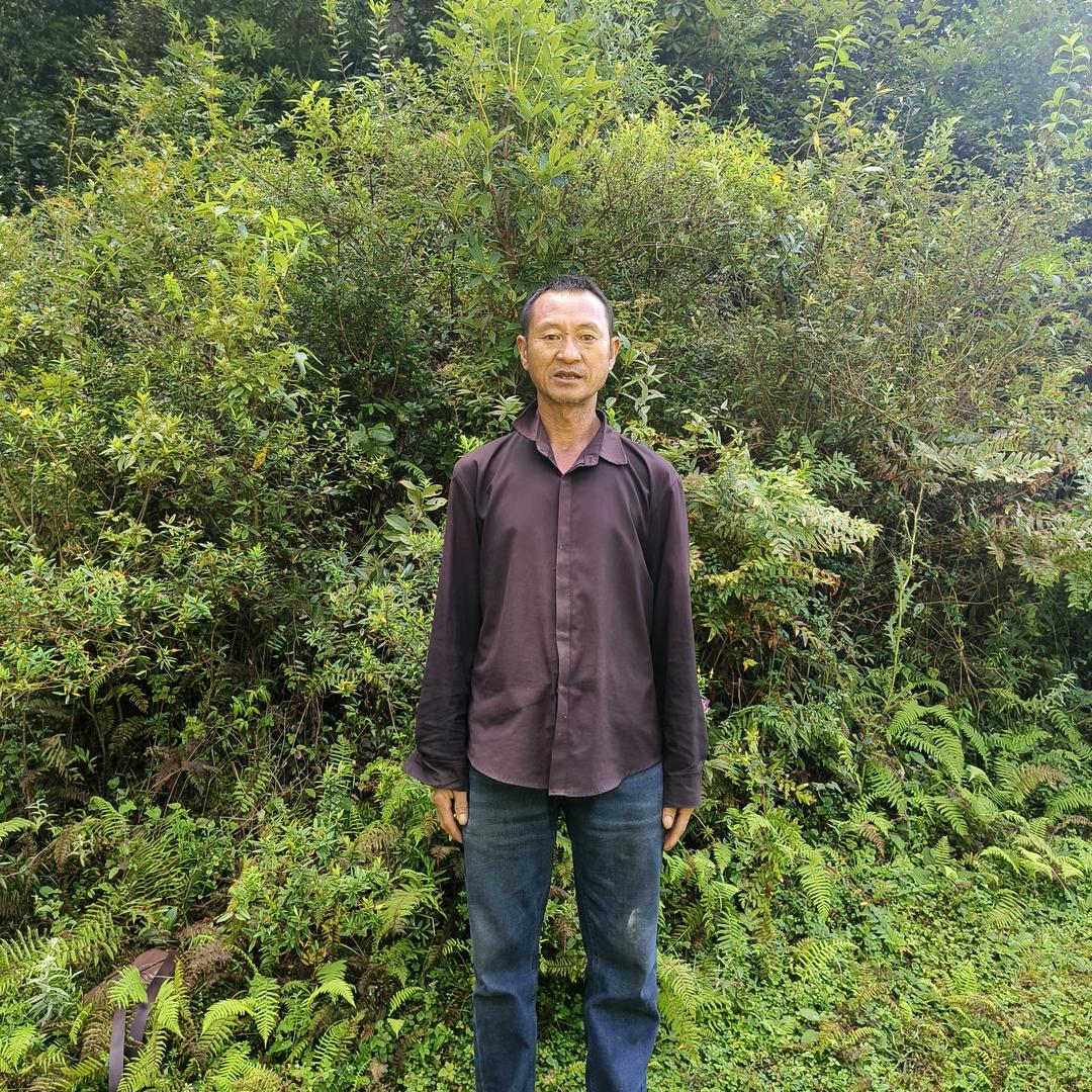 家人安康