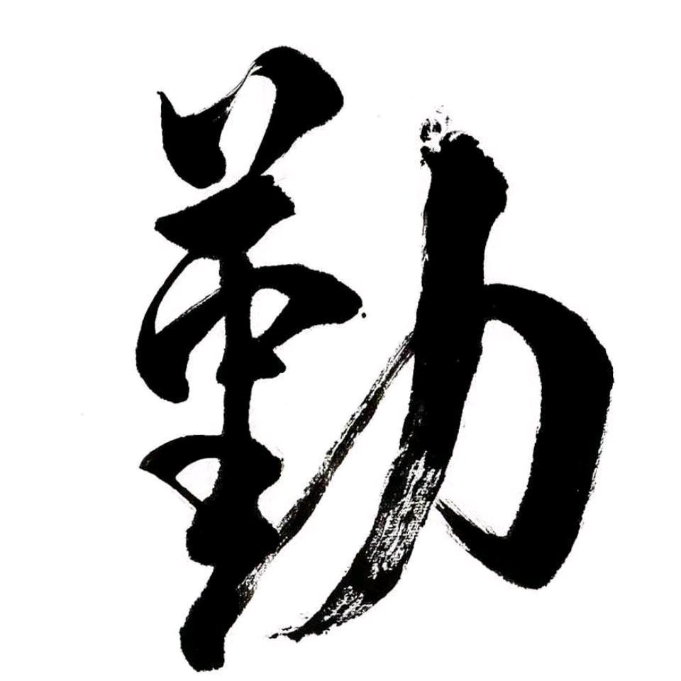 鸽子撸货