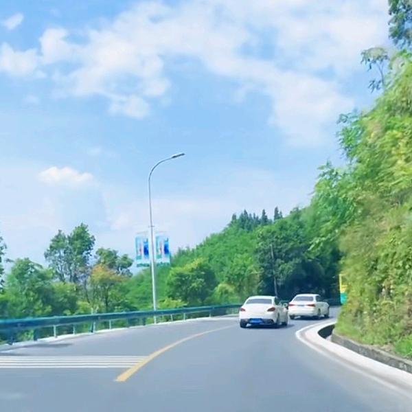 一路同行
