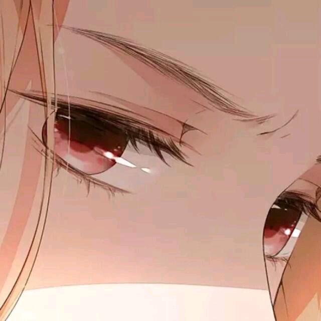 朽橱