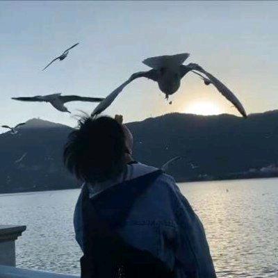 貝貝 ~帥