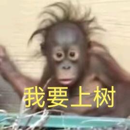 挖鼻屎弹你嘴里