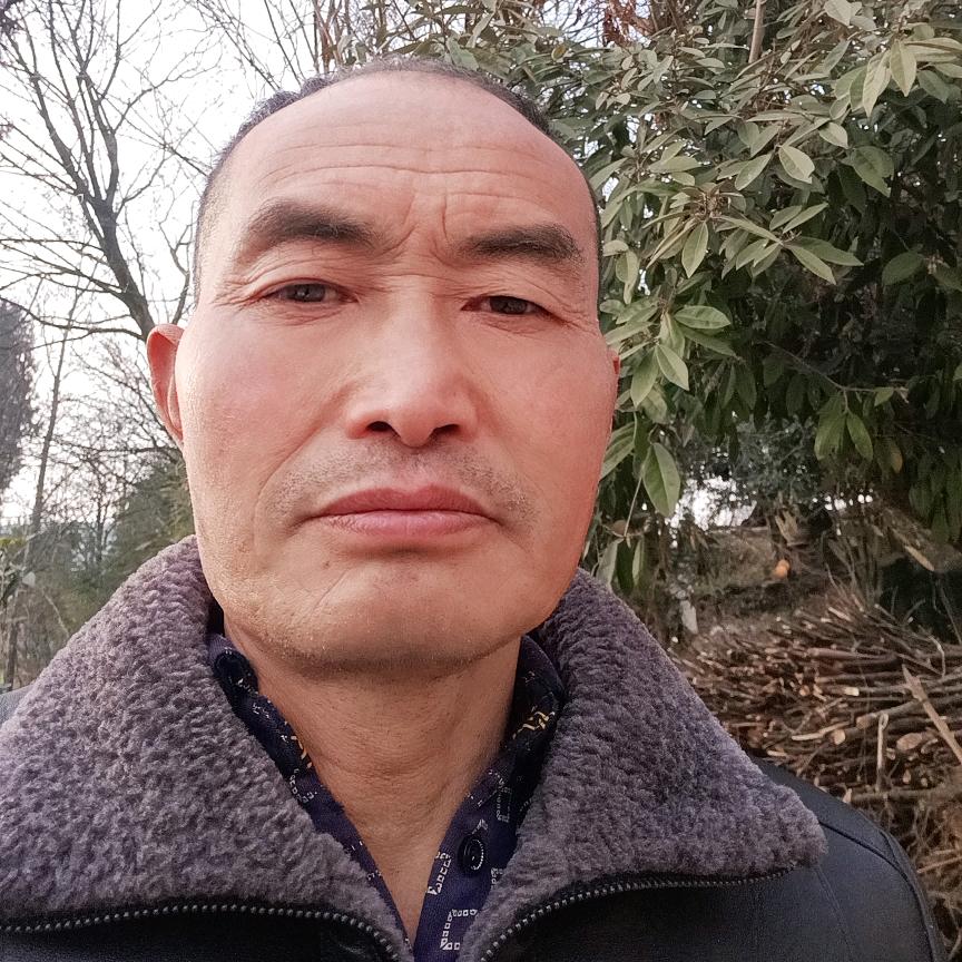 金哥哥（吴氏，不定时直播）