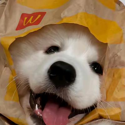 啊哒灬