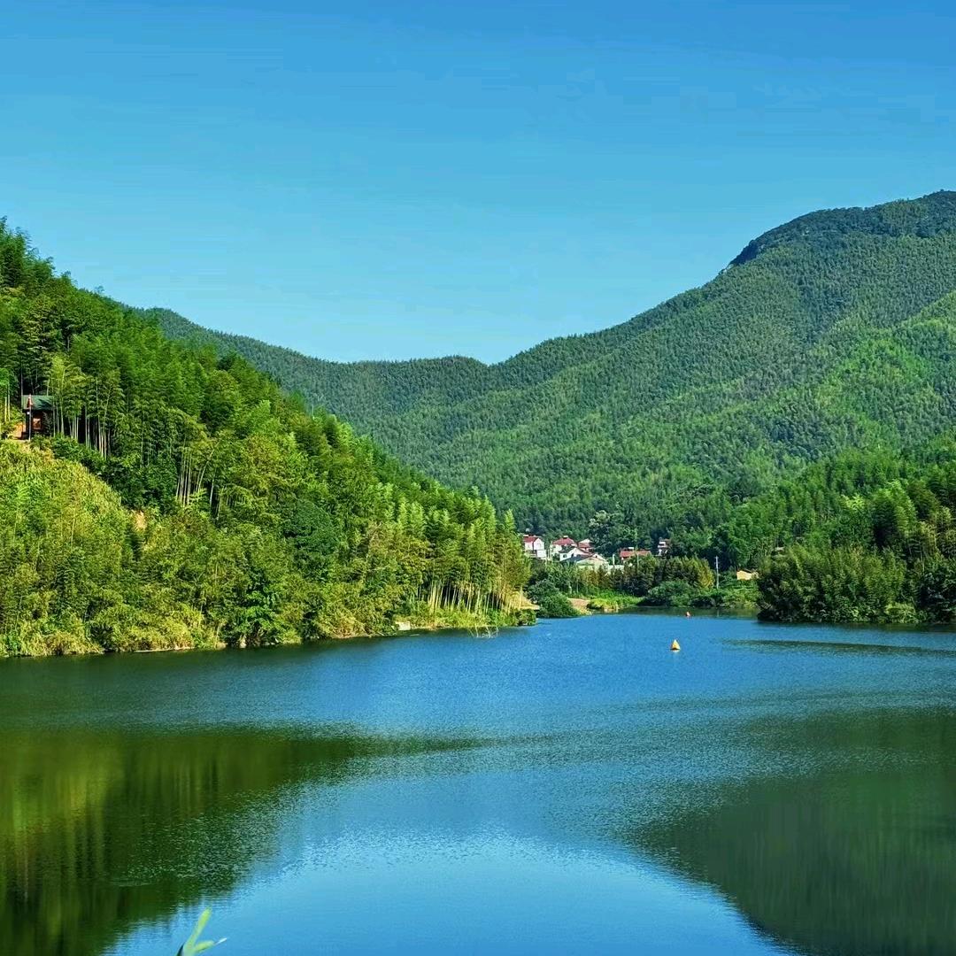 柳姐健康直播加唱歌