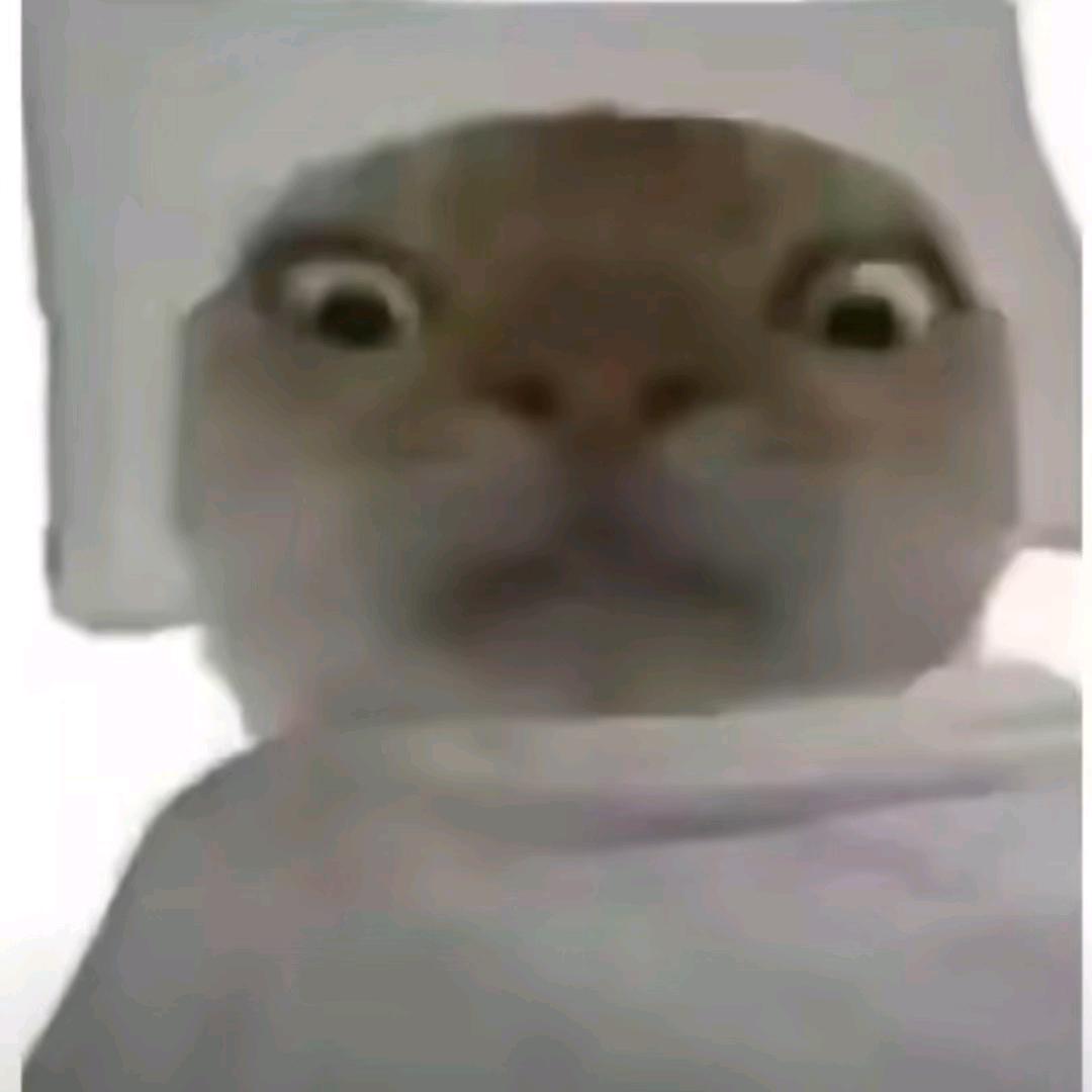 巴巴博一