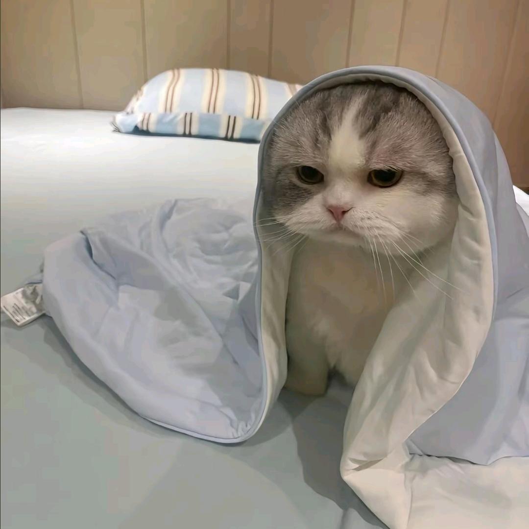 下次自信say哈喽
