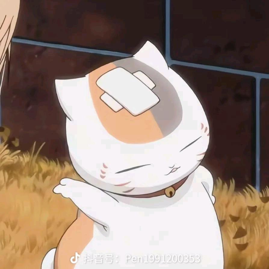 猫咪老师