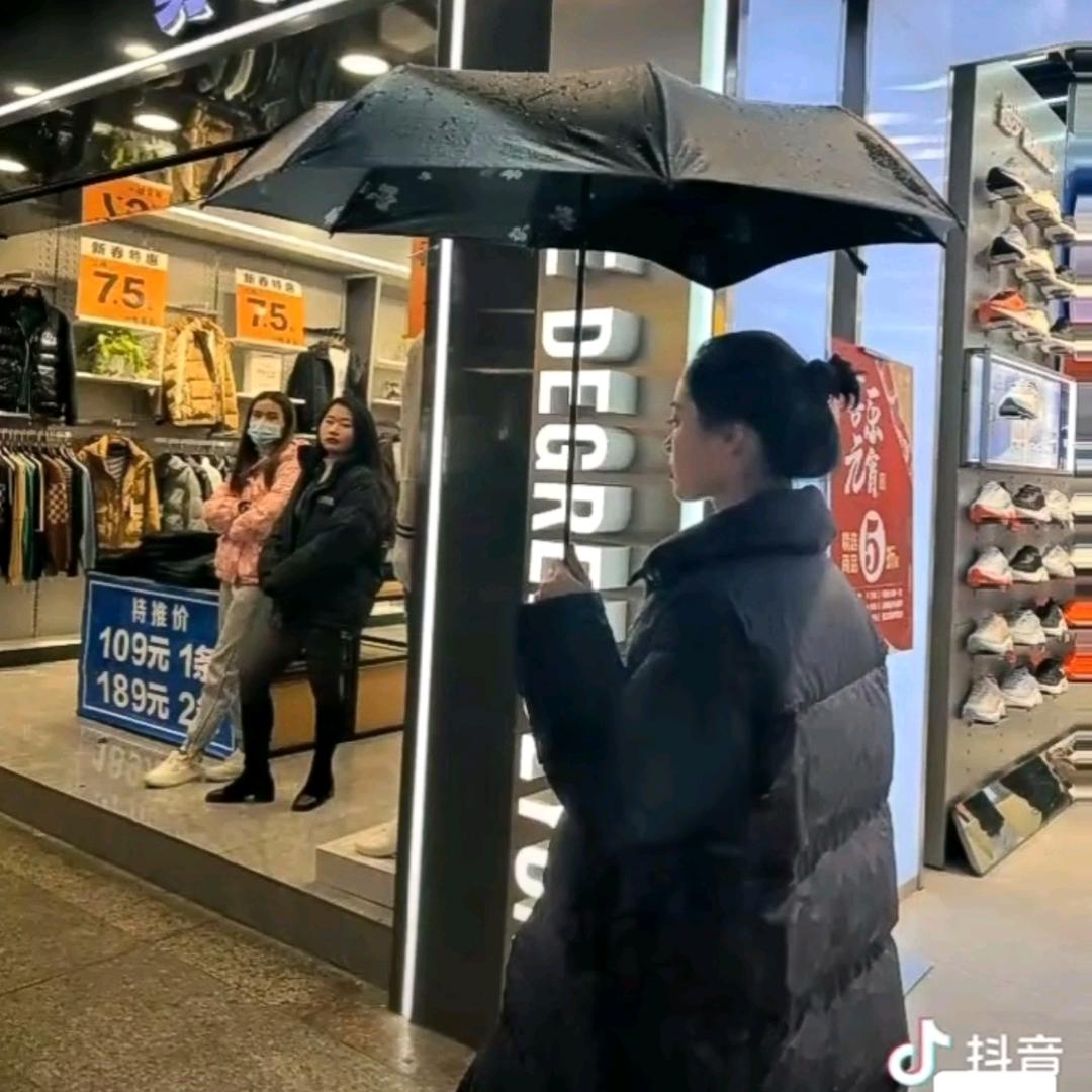 倔驴菊🍊