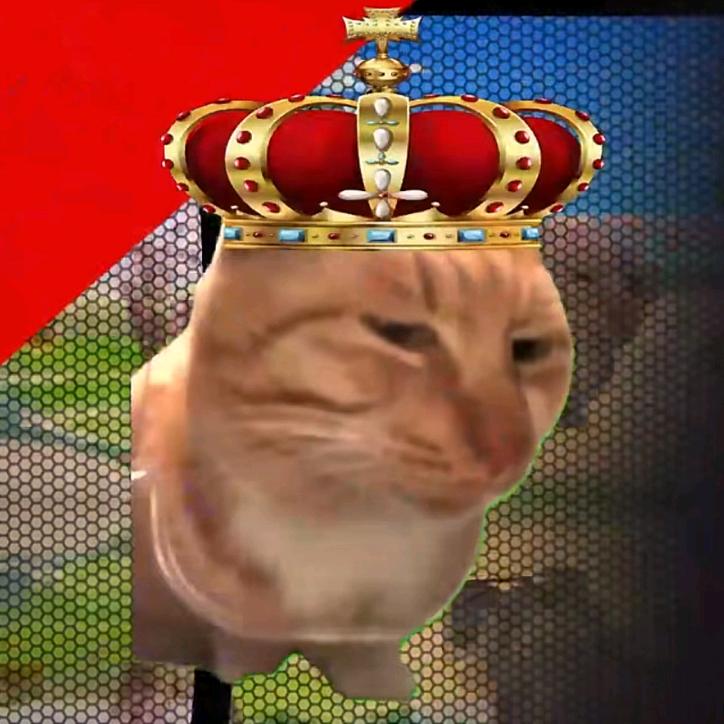 湾湾回来了嘛_zZ