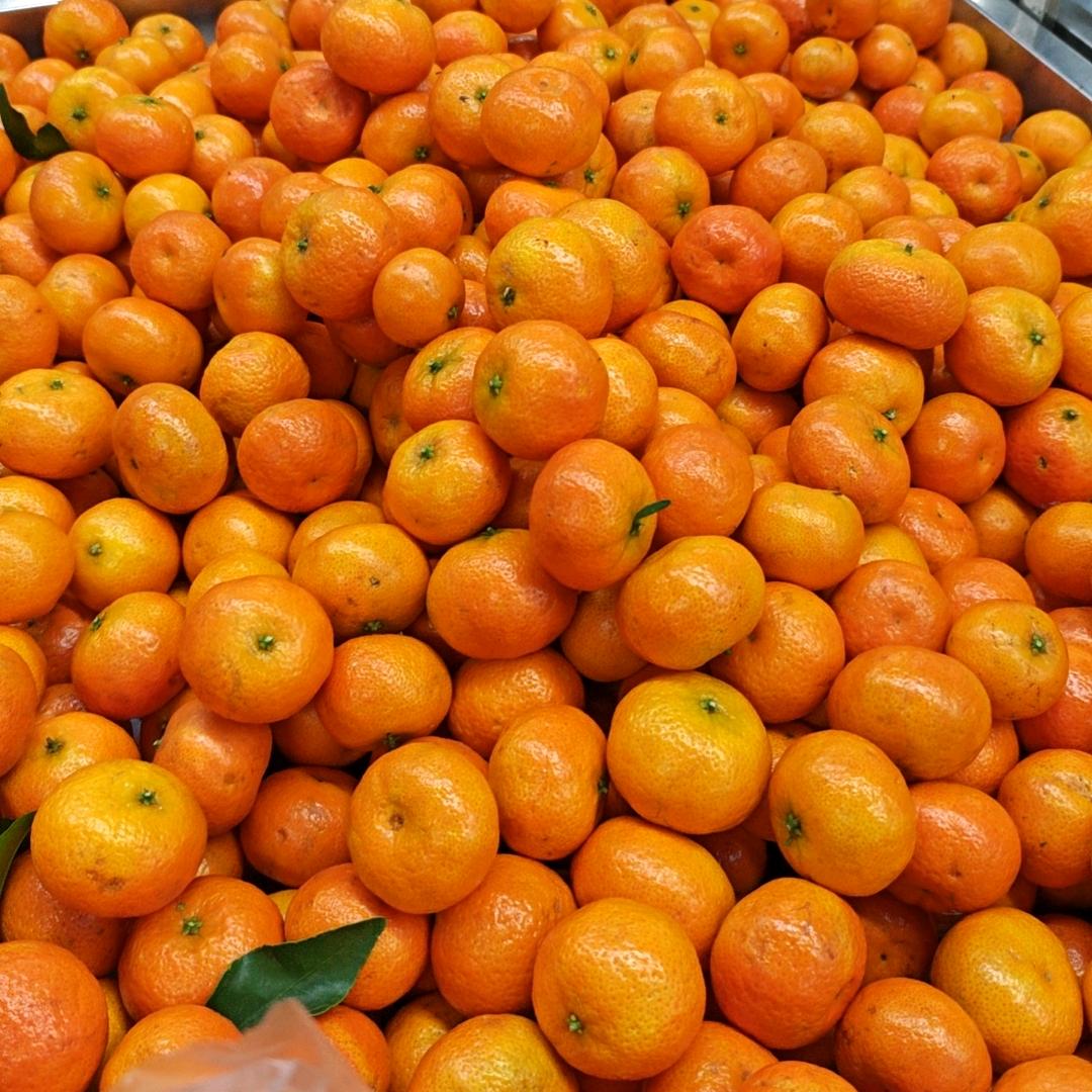 ঞ🍒🦋ꦿ໊余生᭄🕊随心ঞ🍒