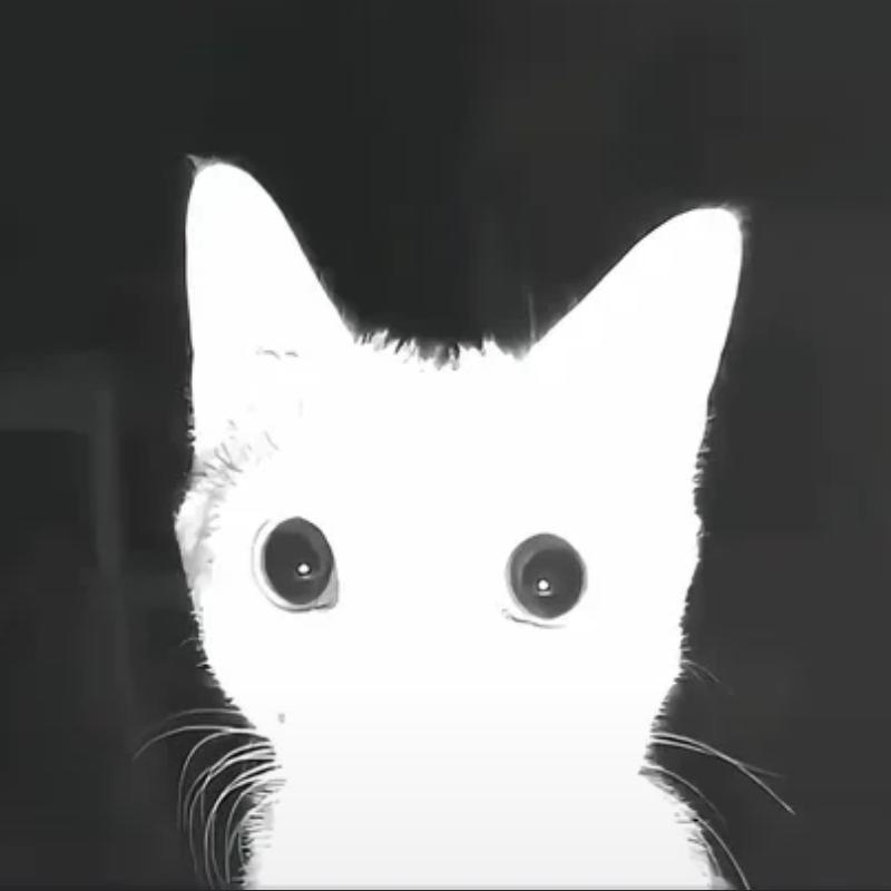被玩坏.