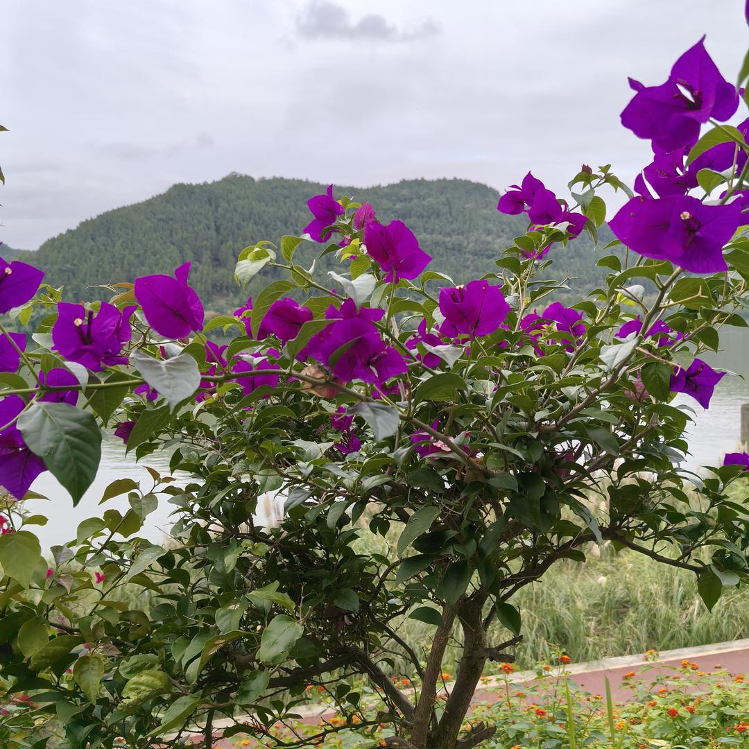 😀快乐老妈😀