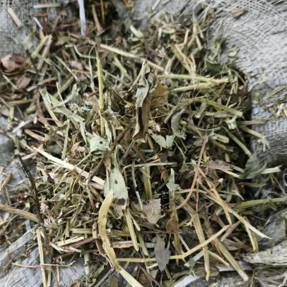 强子牛羊花生秧草料供应商