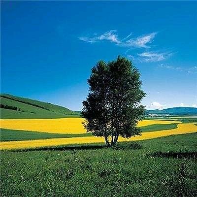 ღ᭄💞好运常伴℘᭄ᩚ꯭ᩚ💞