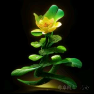 ໑ຼₒ₂₃ღ᭄镜花水月🕊꧔ꦿ᭄💞