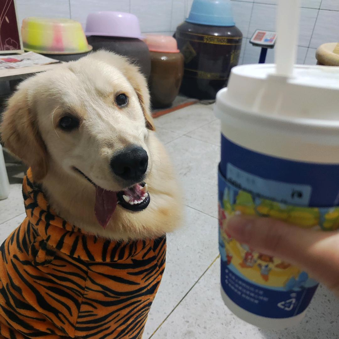 哈哈哈的朋友圈🐶