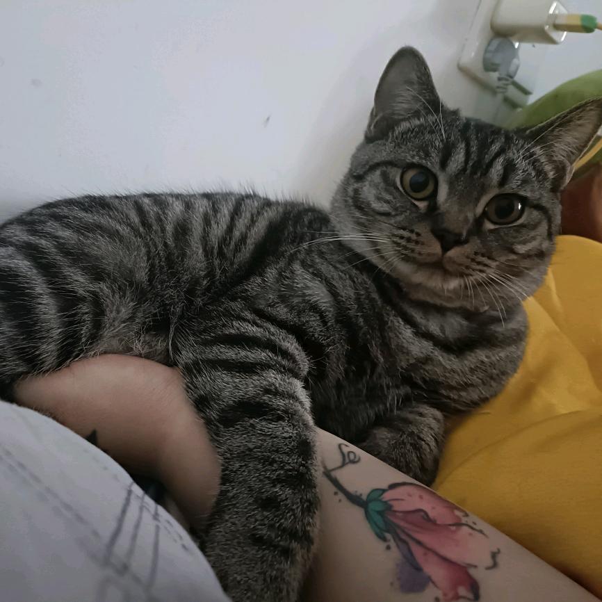 梵莎美业～大童