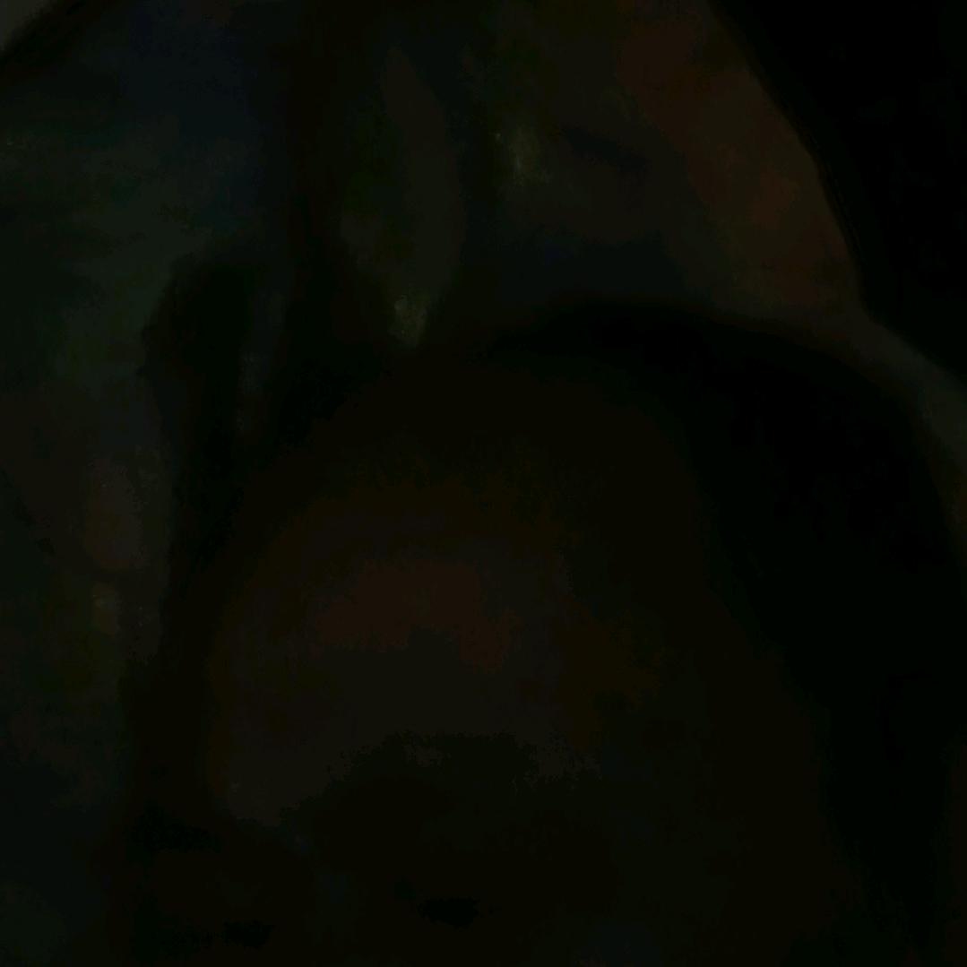 弘扬