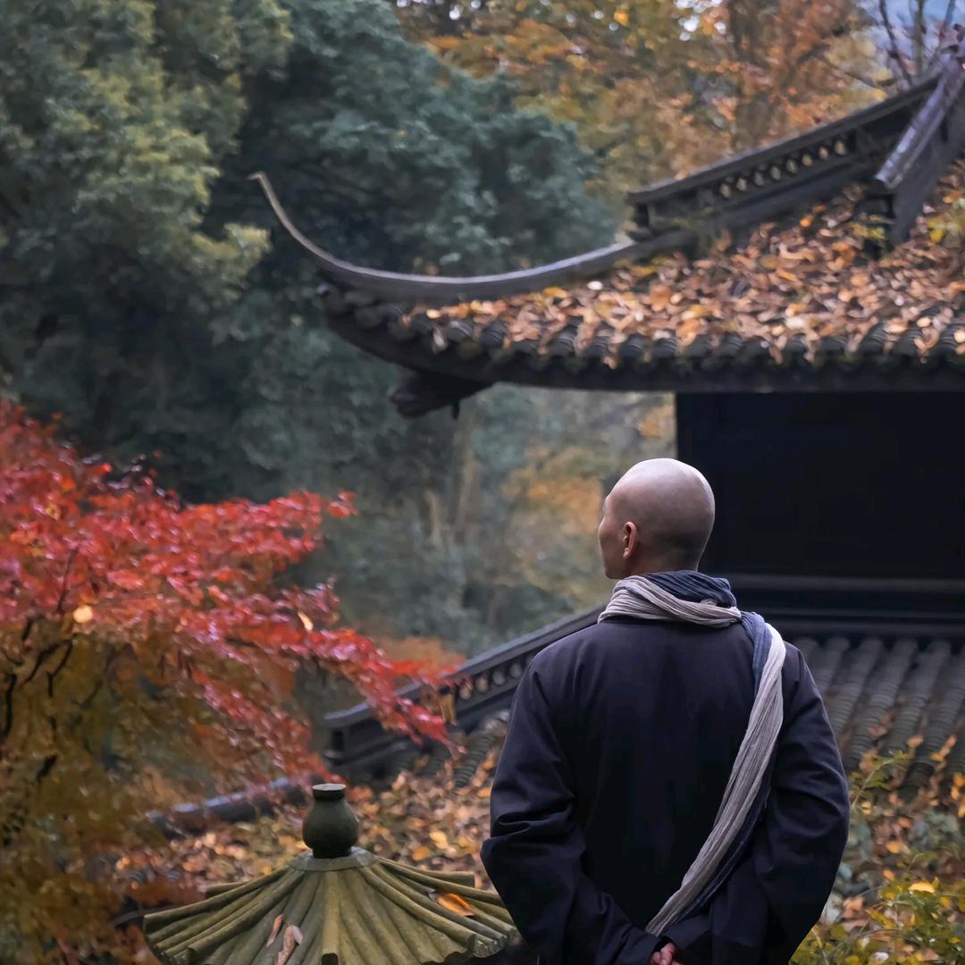 观山居士