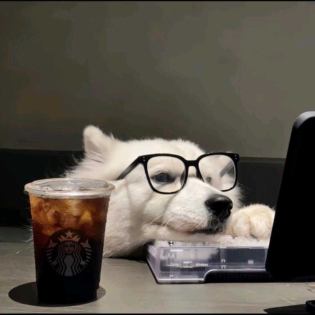 歧