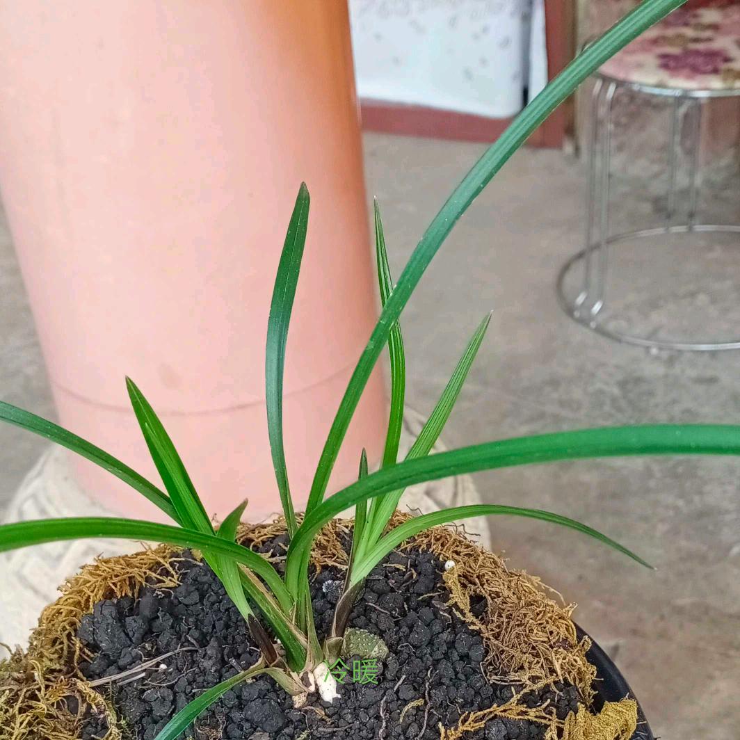 卑以自牧