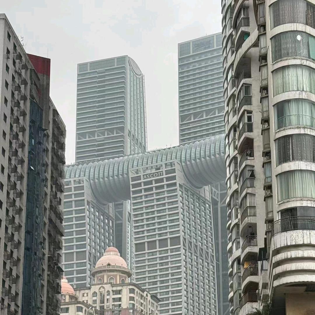 你不要给我哇哇叫👊