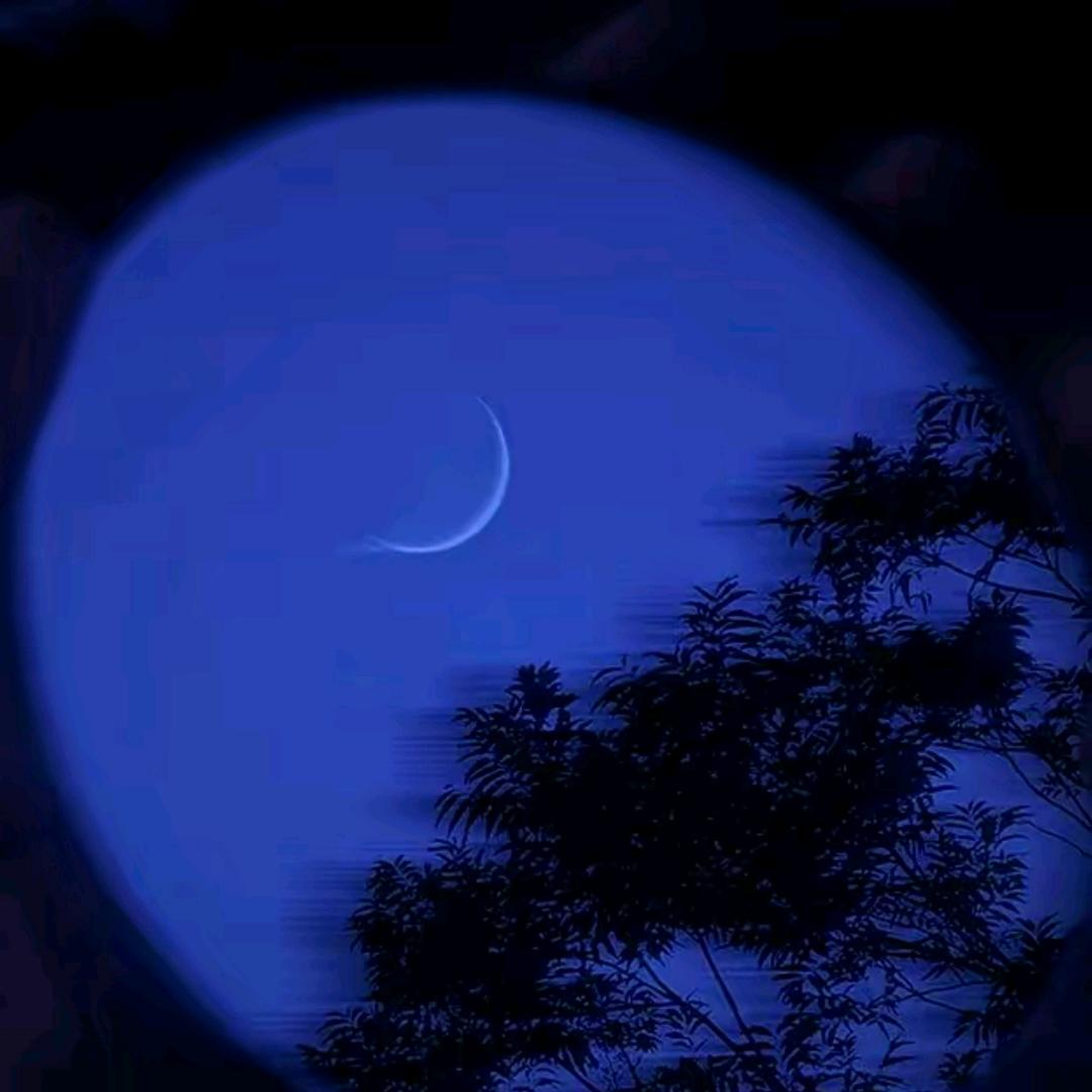 我写一场春光