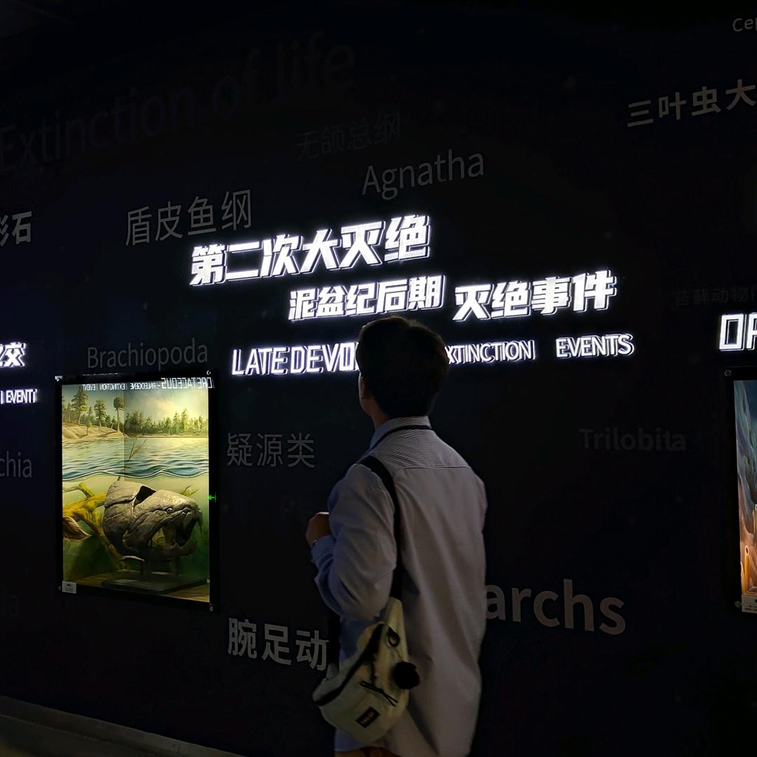 饼茶弃签