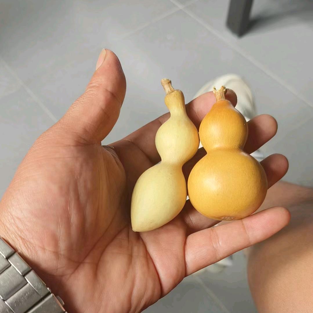 ༂迷茫༃