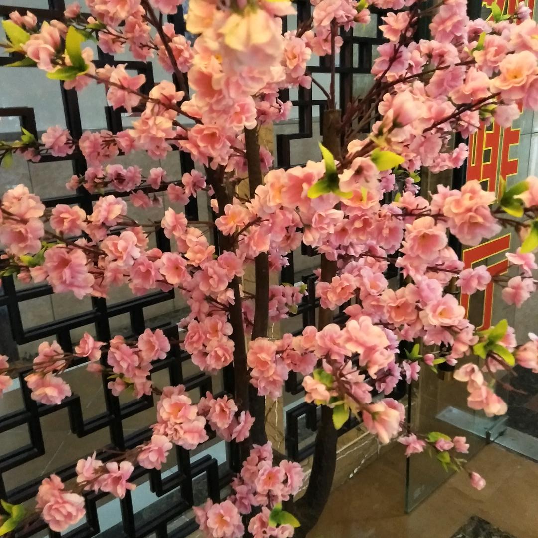 一切结束了，真好。