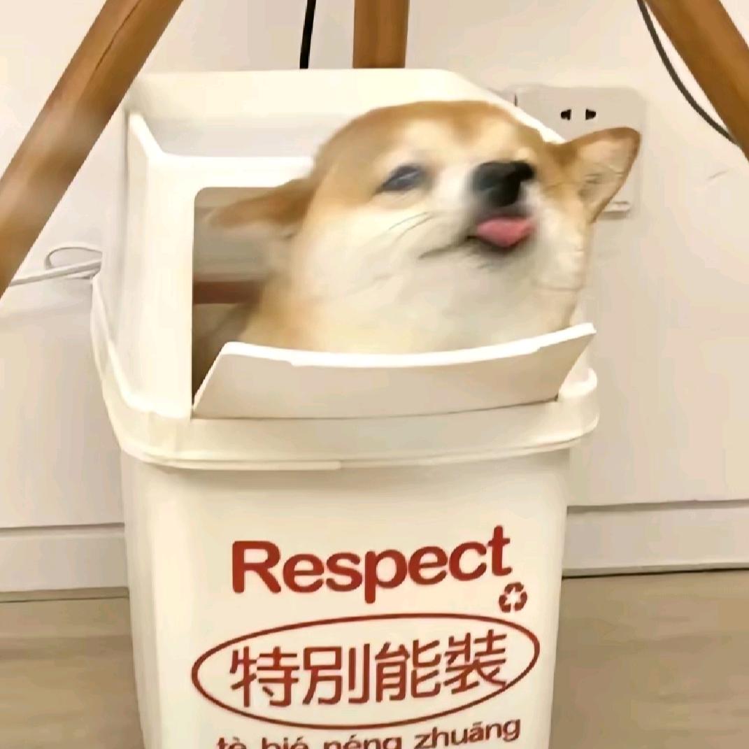 北冰洋