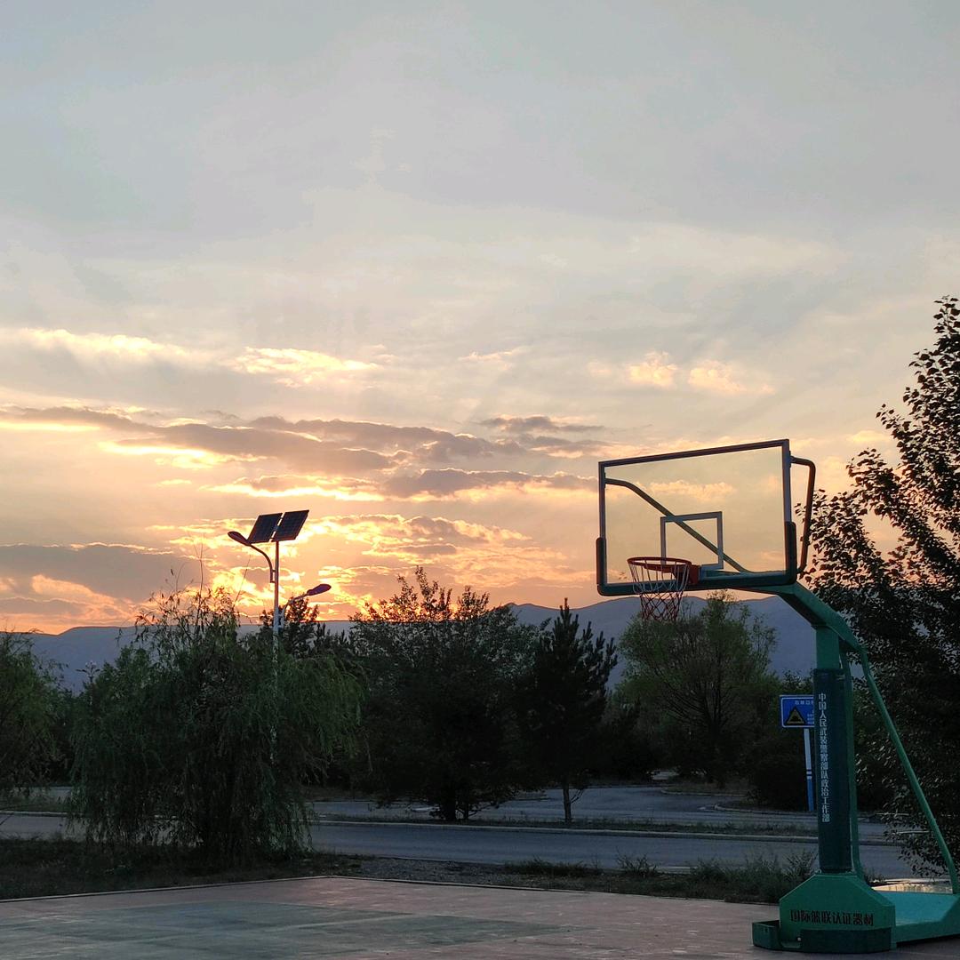 麋鹿