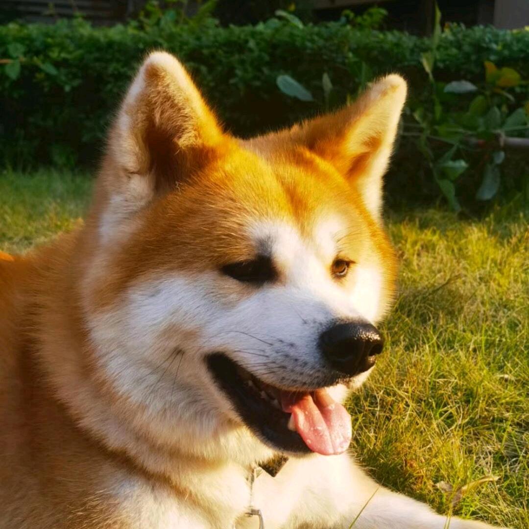 杨青林（佛山中今陶瓷）