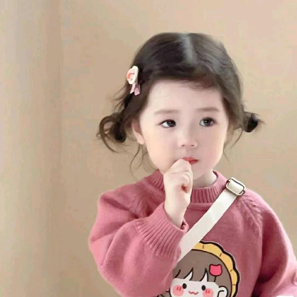 华图公考小助手