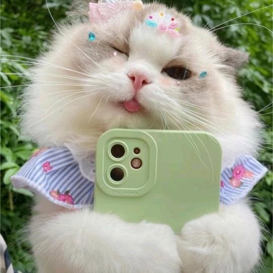 小宝贝儿吖🎀