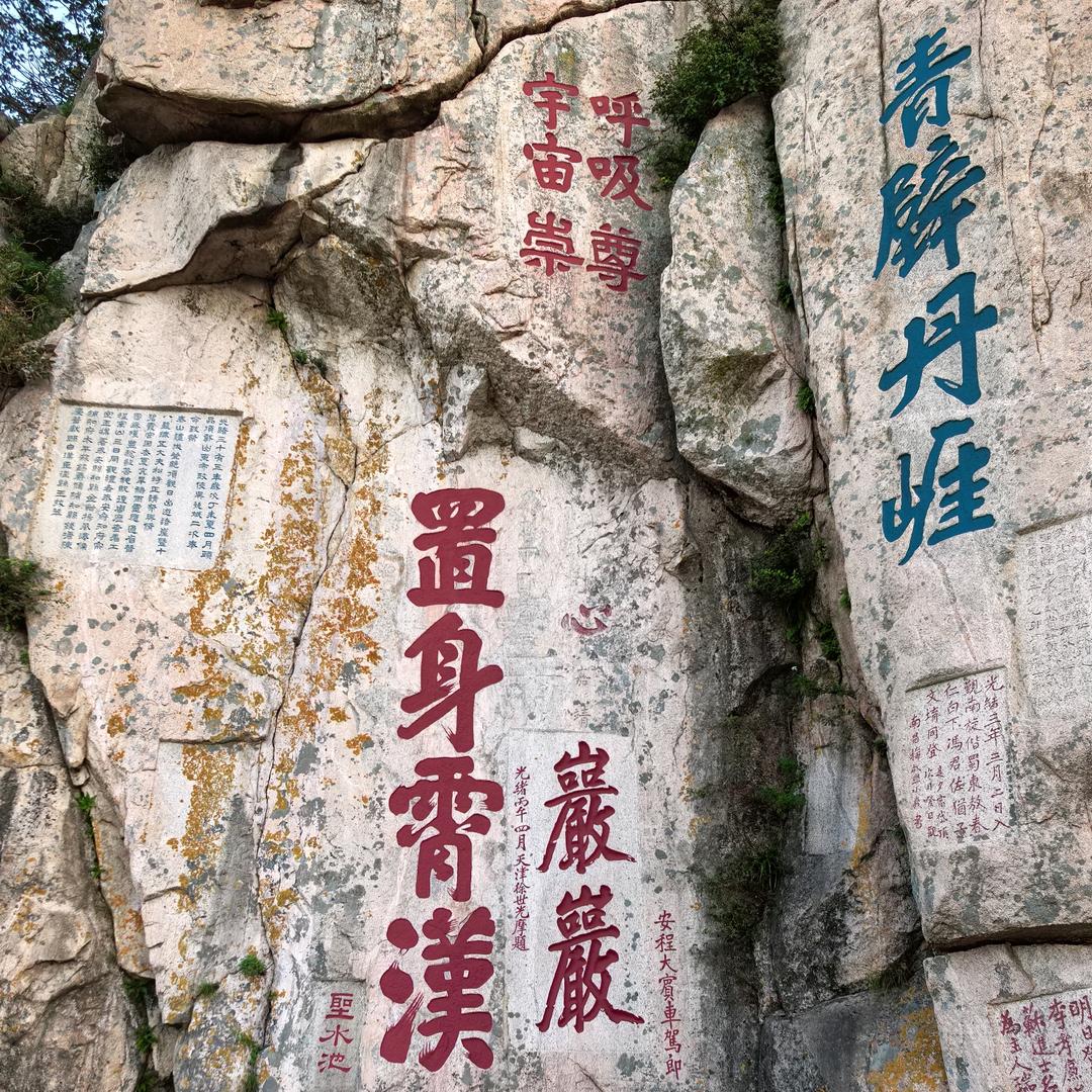 大象