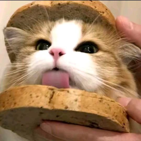 DY等级-高的等级～抖抖企业号