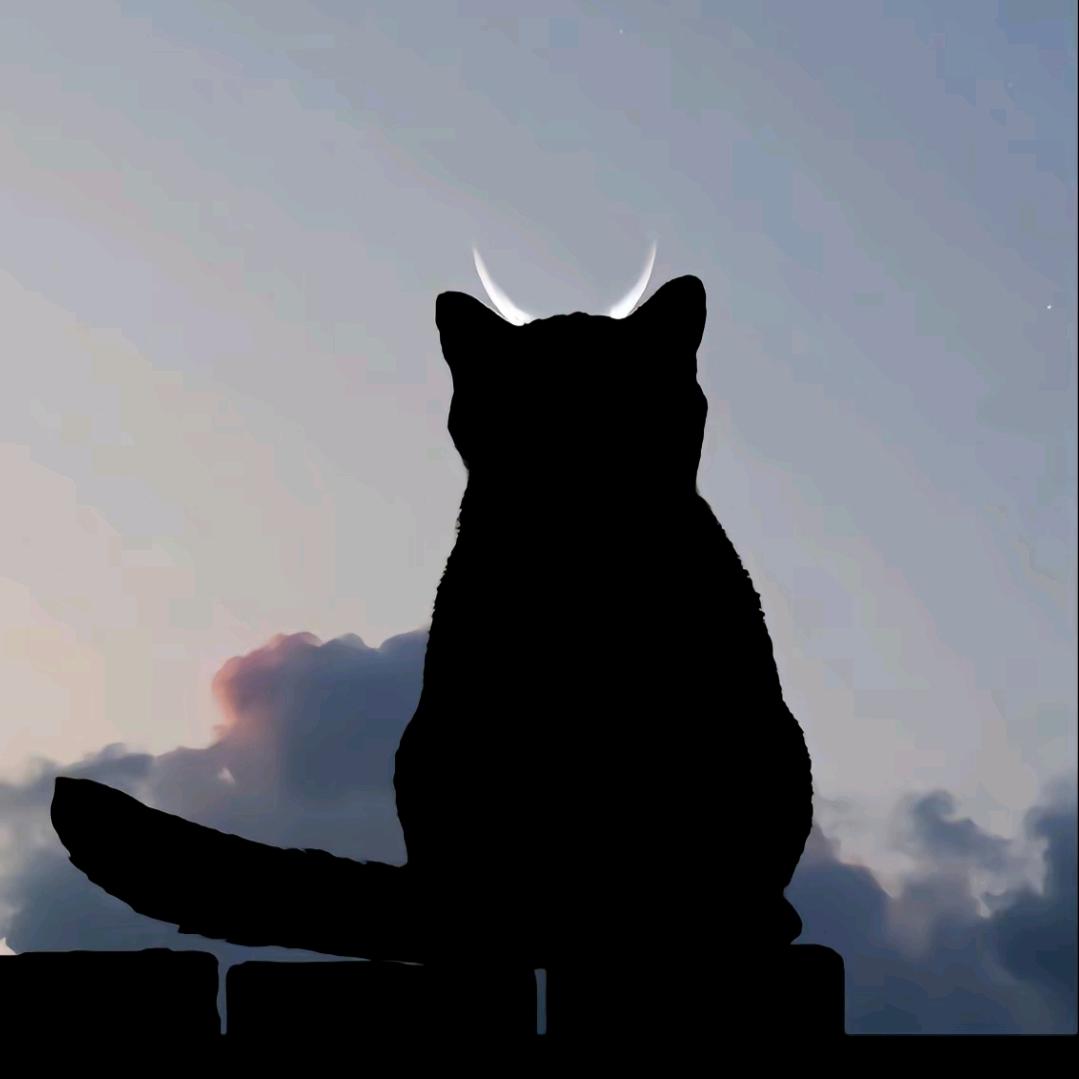 断梦