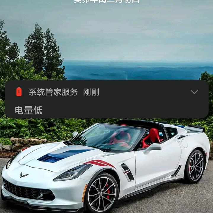 有没有想来了解越南妹妹的