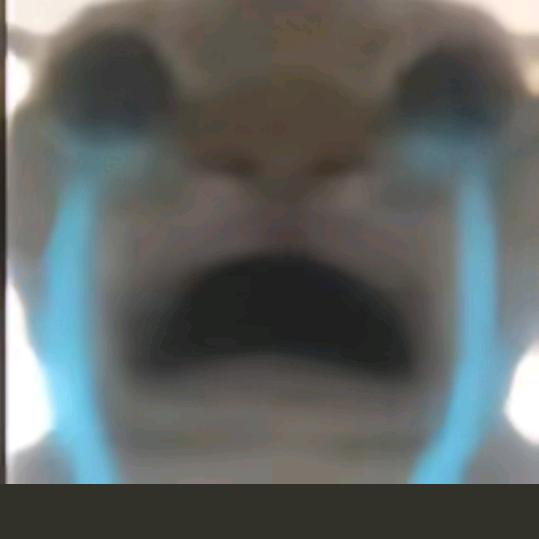 L·Ao